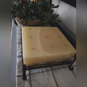 9 Wick Vanilla Candle with Metal Holder